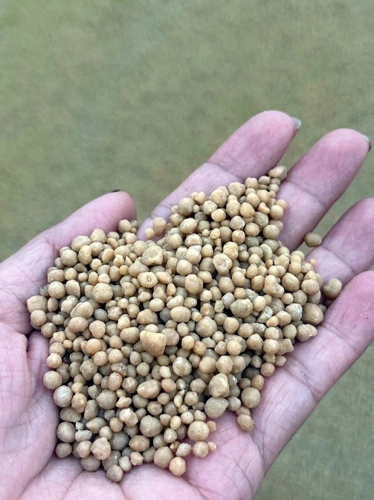 Round granular fertilizer product held in a hand for inspection
