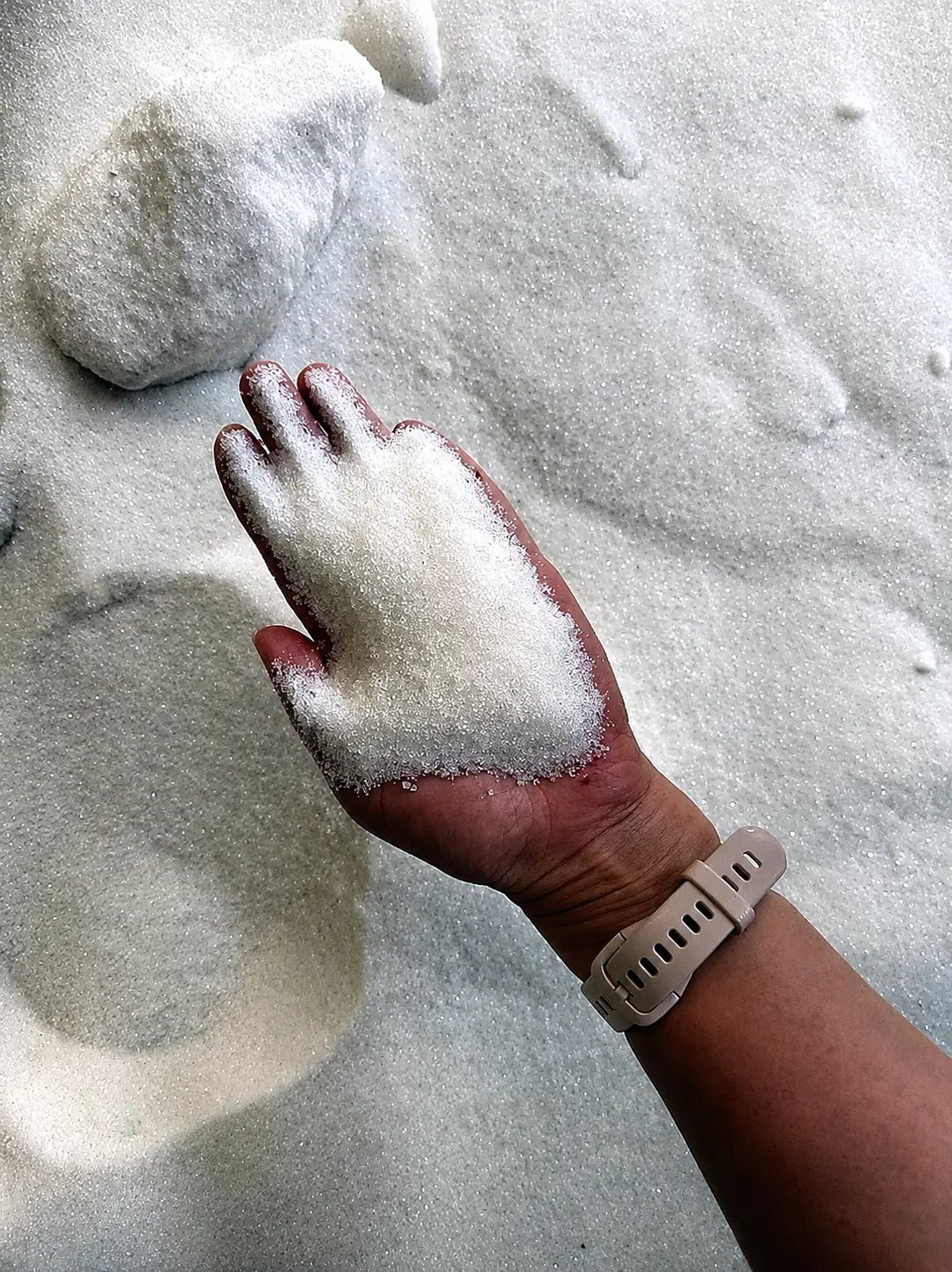 White granular fertilizer being inspected by hand